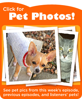 Click for Pet Photos!